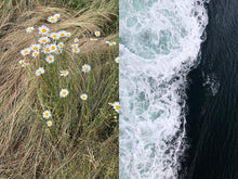 Load image into Gallery viewer, Rebecca Wang 王晨釔 – Blooming While Withering Limited Edition Postcard Set (Set of 5)