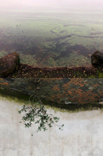 Load image into Gallery viewer, Rebecca Wang 王晨釔 – Blooming While Withering Limited Edition Postcard Set (Set of 5)