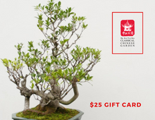 Load image into Gallery viewer, $25 Gift Card