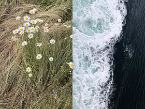 Rebecca Wang 王晨釔 – Blooming While Withering Limited Edition Postcard Set (Set of 5)